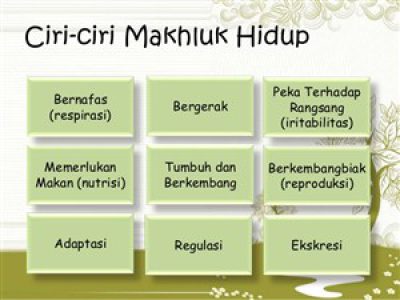 cirimakhlukk